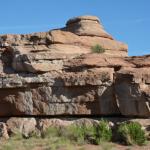 OTRA2013_2128 (July 21, 2013)